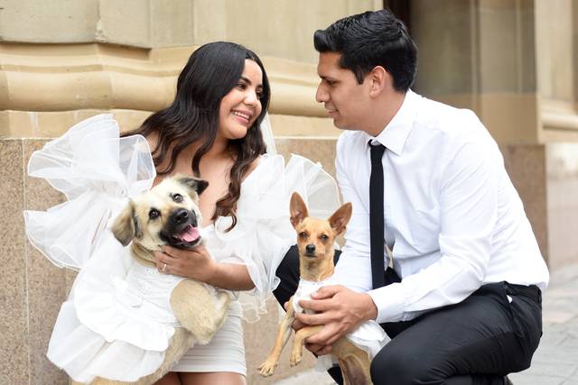 Bodas