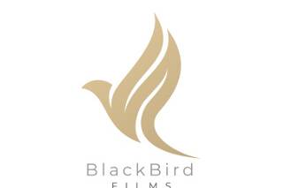 BlackBird Films