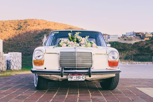El carruaje de los novios