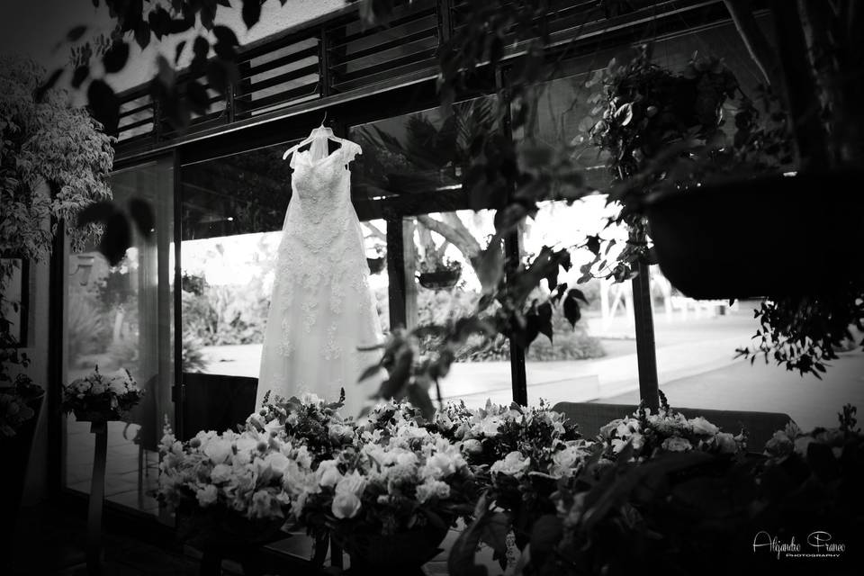 Alex Wedding Photography