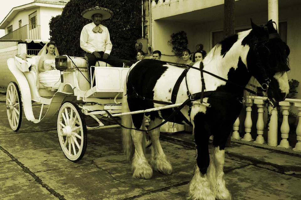 Boda antigua