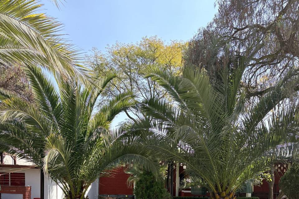 Jardín