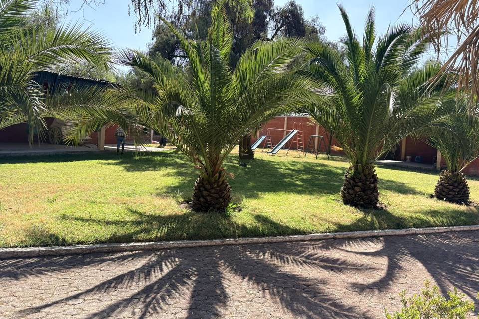 Finca Los Mora