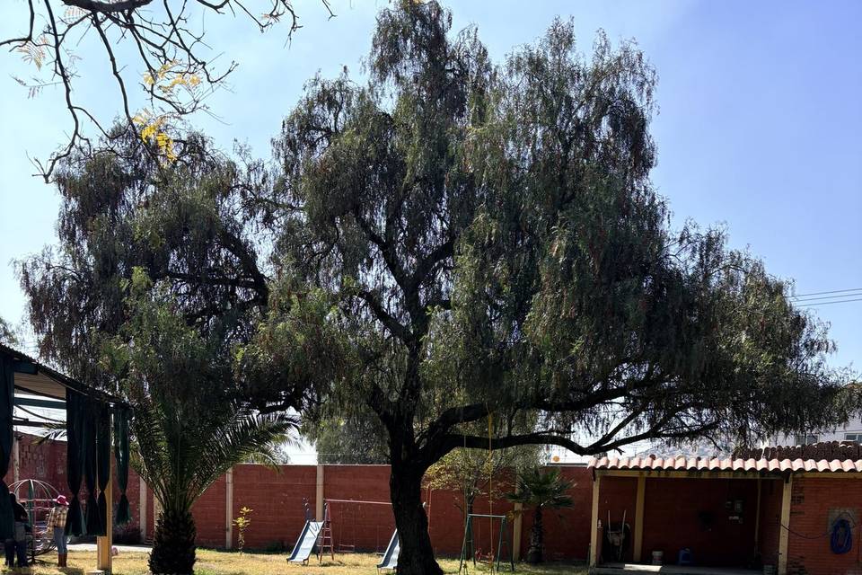 Jardín