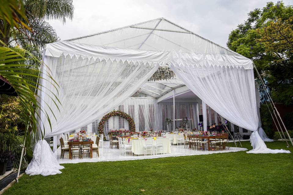 Carpa transparente