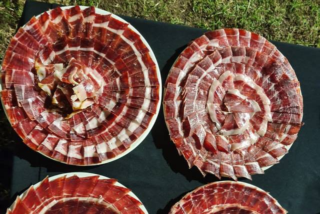 Platos presidenciales novios