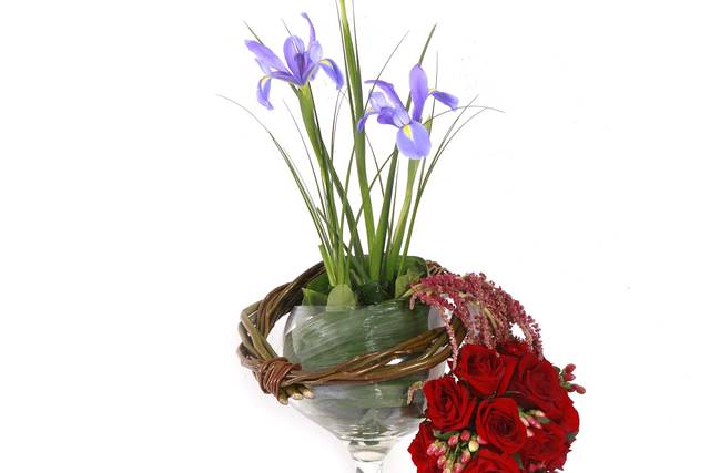 Palacio Floral