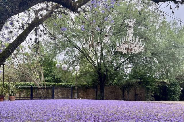 Quinta Las Jacarandas