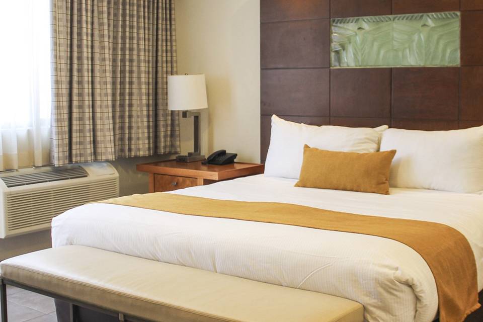 Jr. Suite