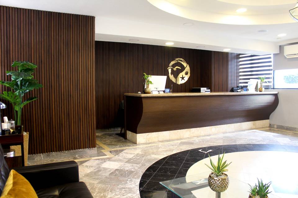 Recepción