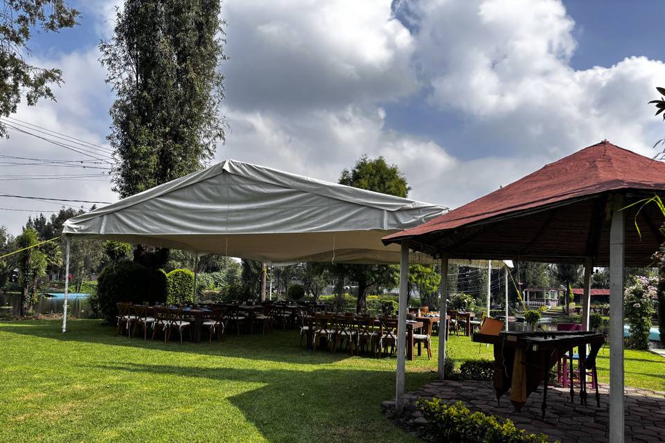 Carpa 50 personas