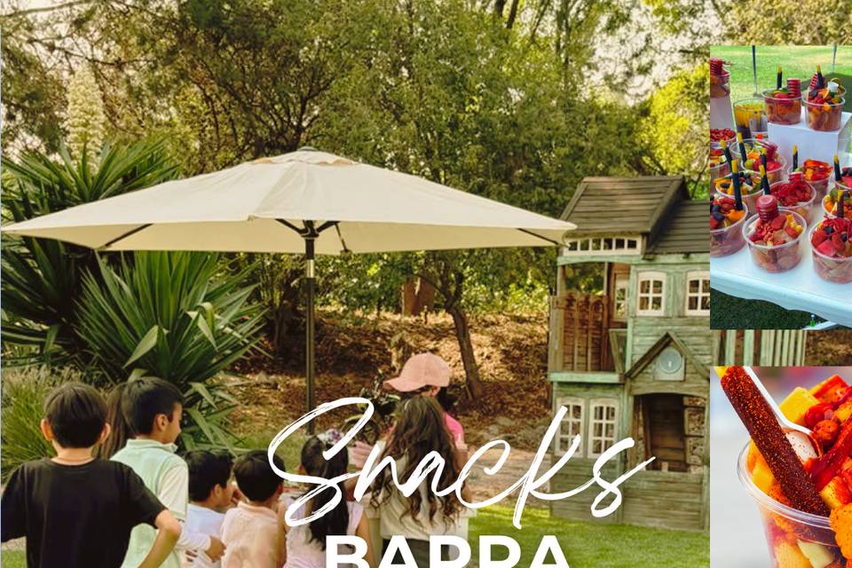Barra Snacks