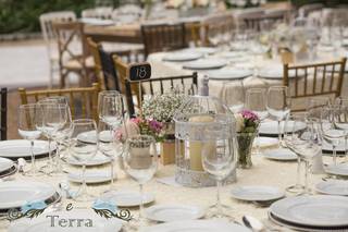 Cel E Terra Wedding Planner