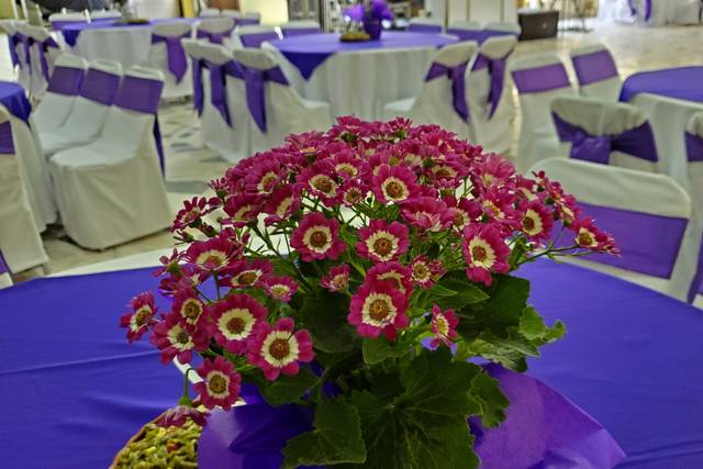 Adorno floral