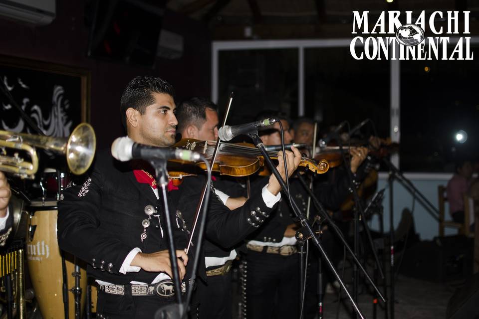 Mariachi