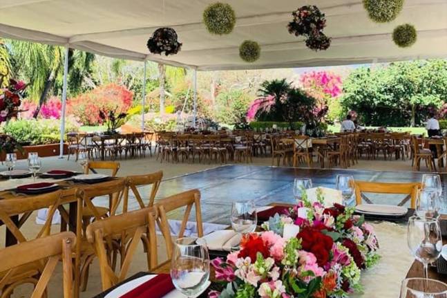 Evento nupcial decorado con plantas en el techo