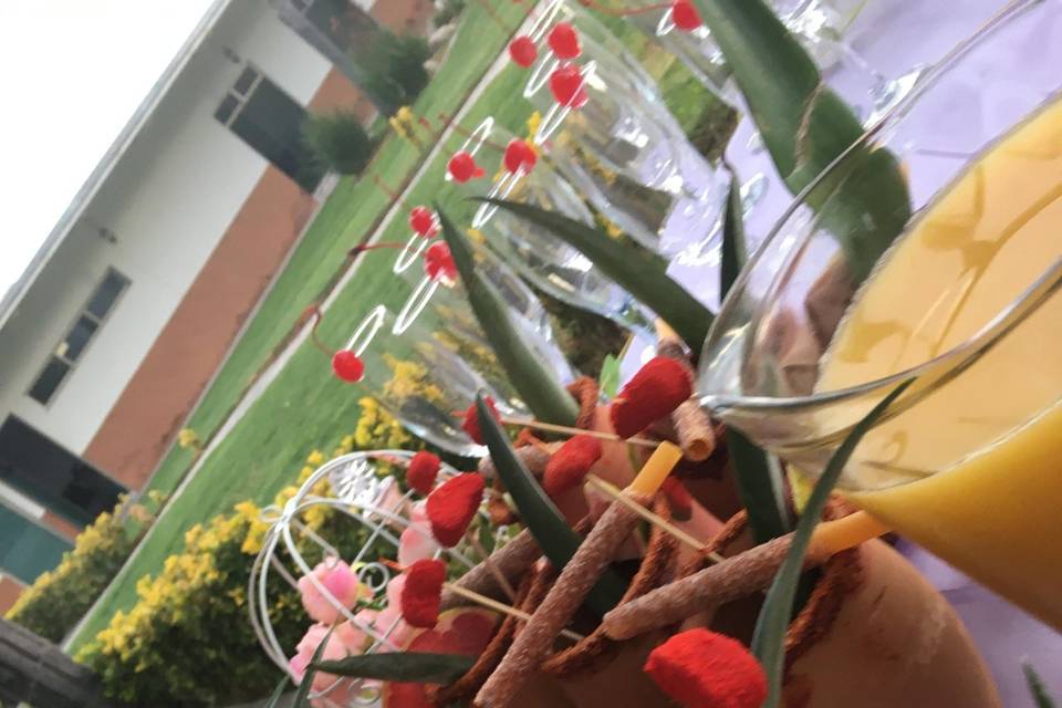 Presentación