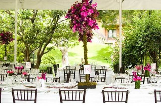 Fresco y chic