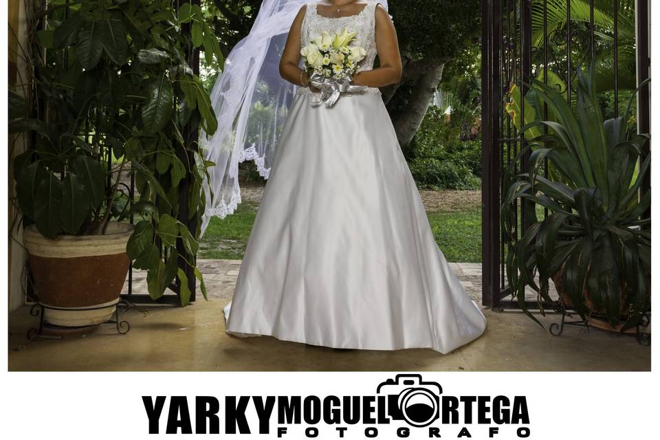Yarky Moguel Ortega