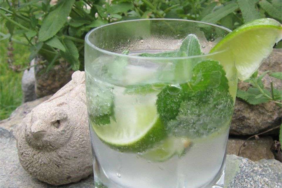 Mojito Mezcal