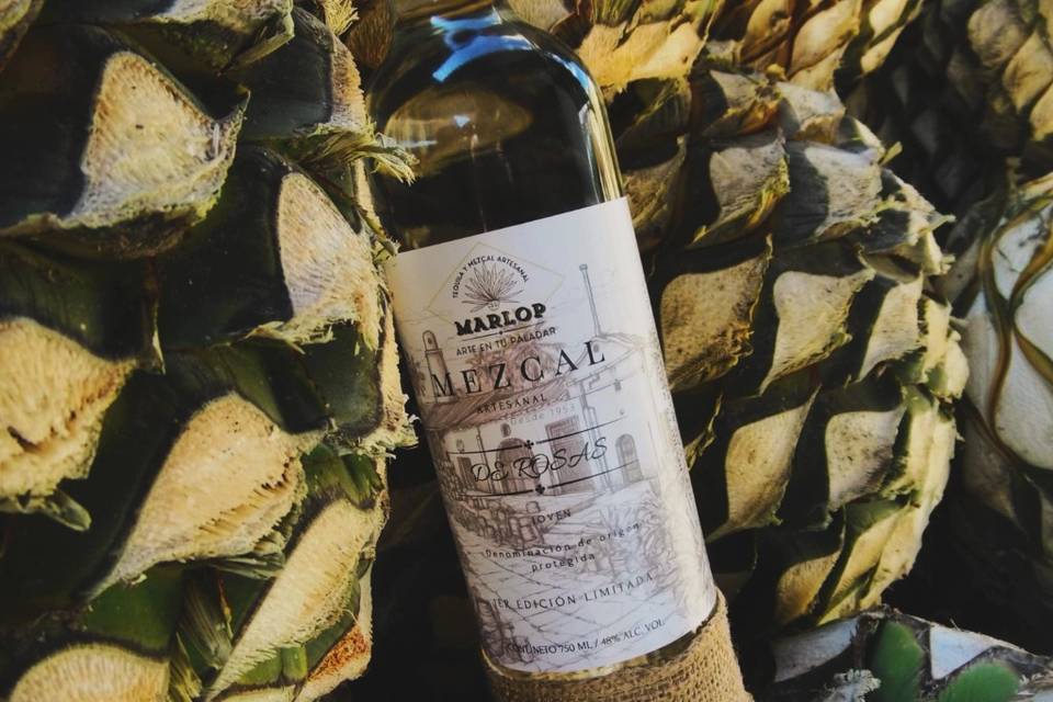 Mezcal y rosas