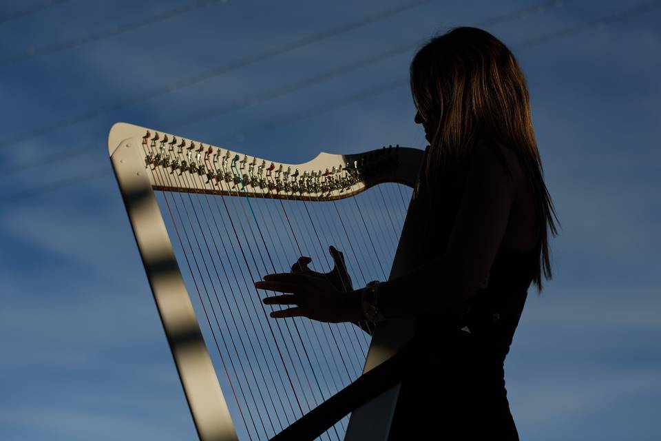 Harp Shadow