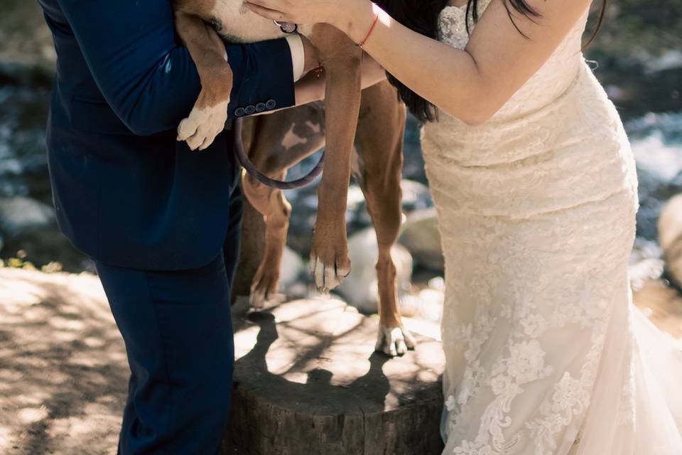 Trash the dress