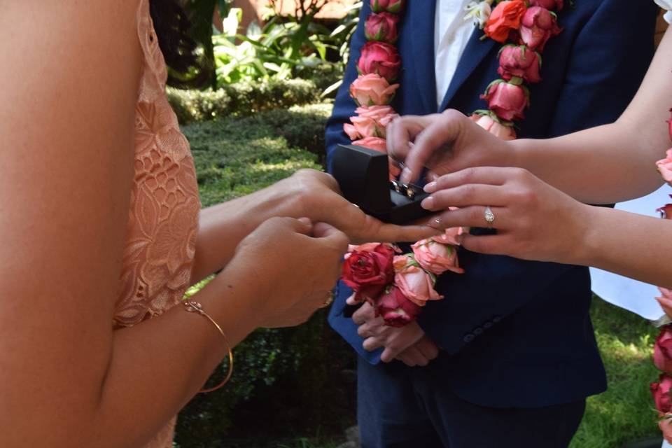 Intercambio de anillos