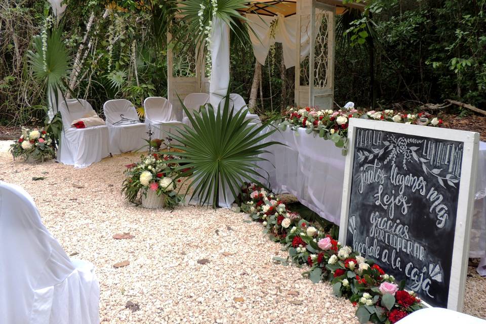 Cocketel area alberca