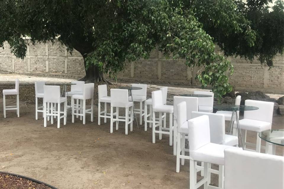 Organización de Eventos DIX