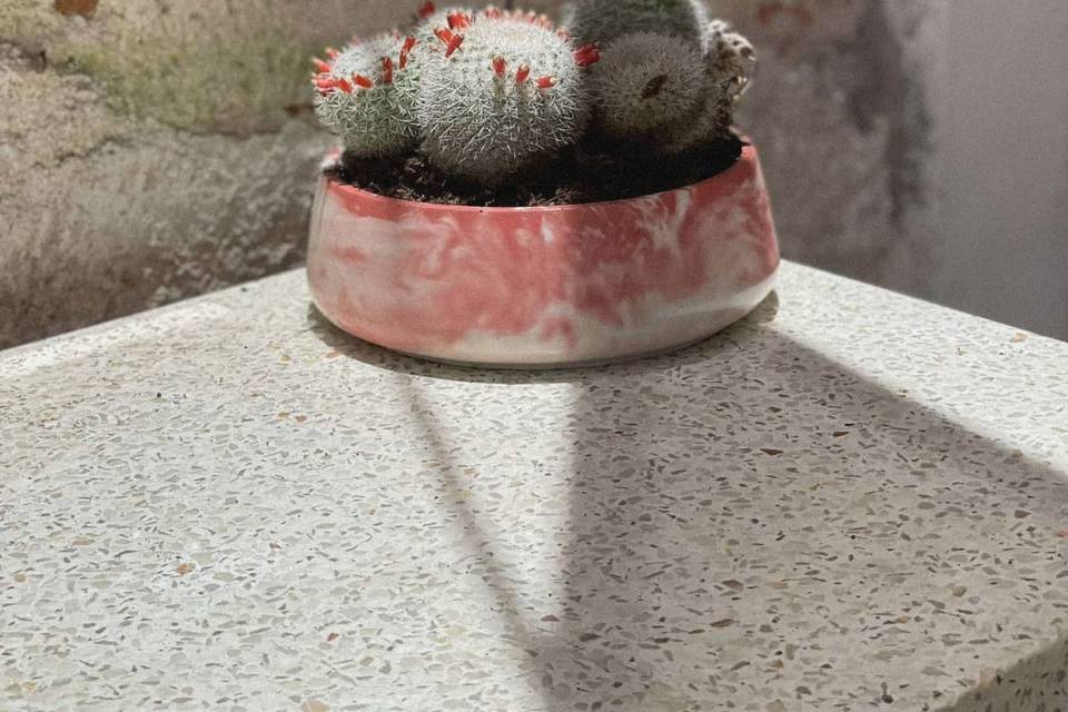 Maceta grande de concreto