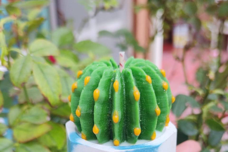 Vela de cactus