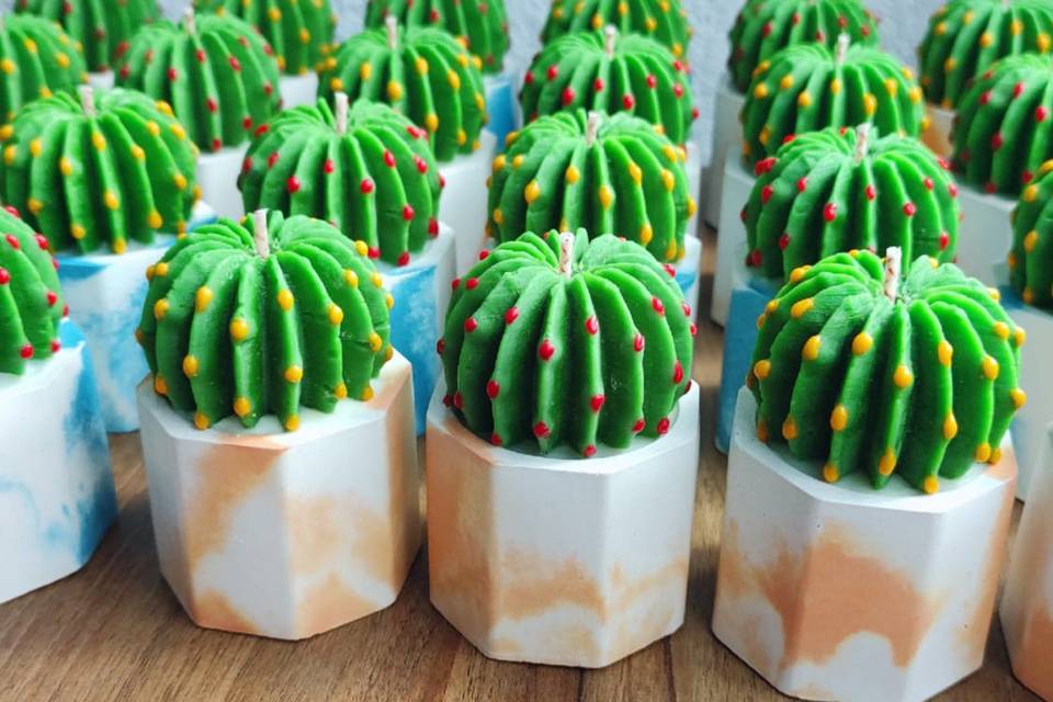 Velas de cactus