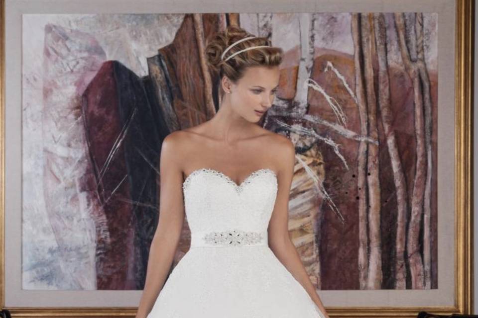 P0023 Elegance