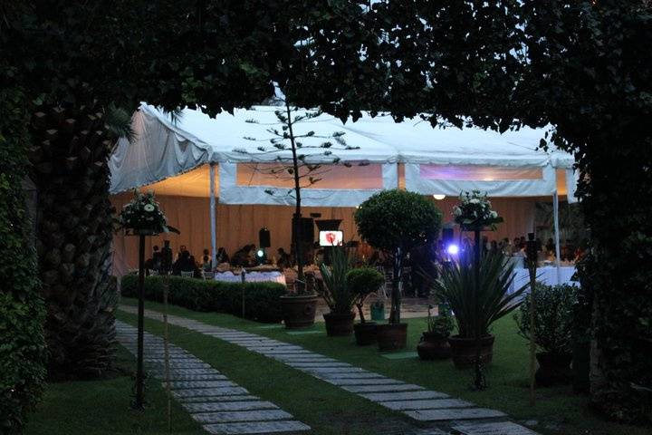 Jardin noche