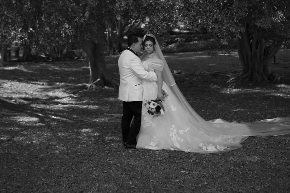 Bodas de Hadaz catering