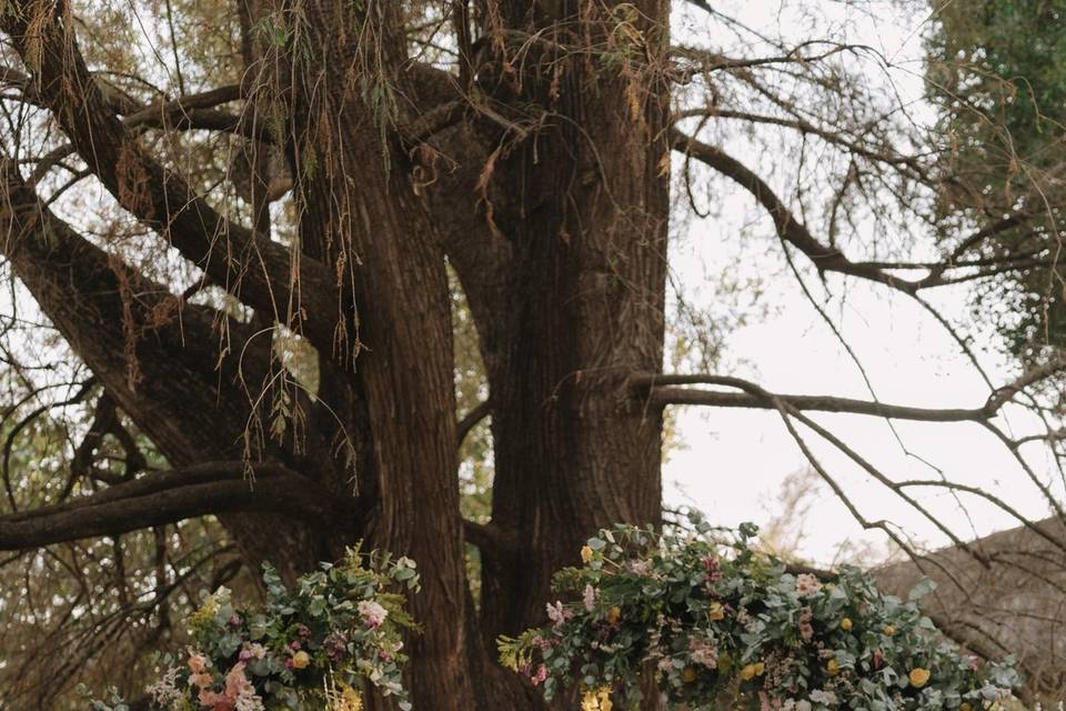 Bodas de Hadaz catering