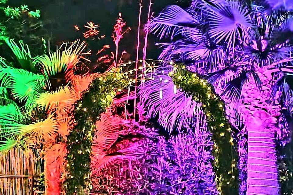 Arco rosas ceremonia y jardin