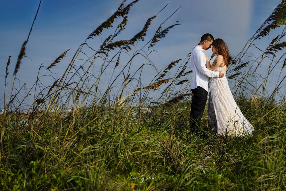 Trash the dress