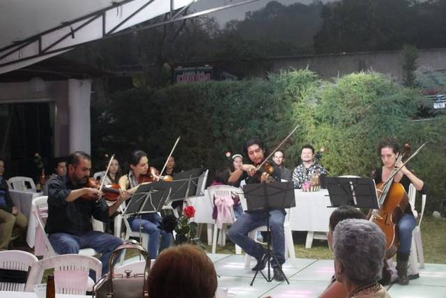 Boda en un salón en el bosque
