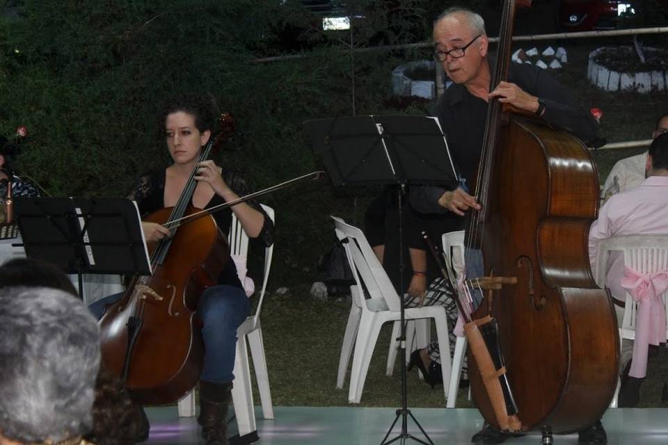 Scherzando - Quinteto de cuerdas