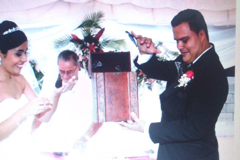 Liberación mariposas en boda