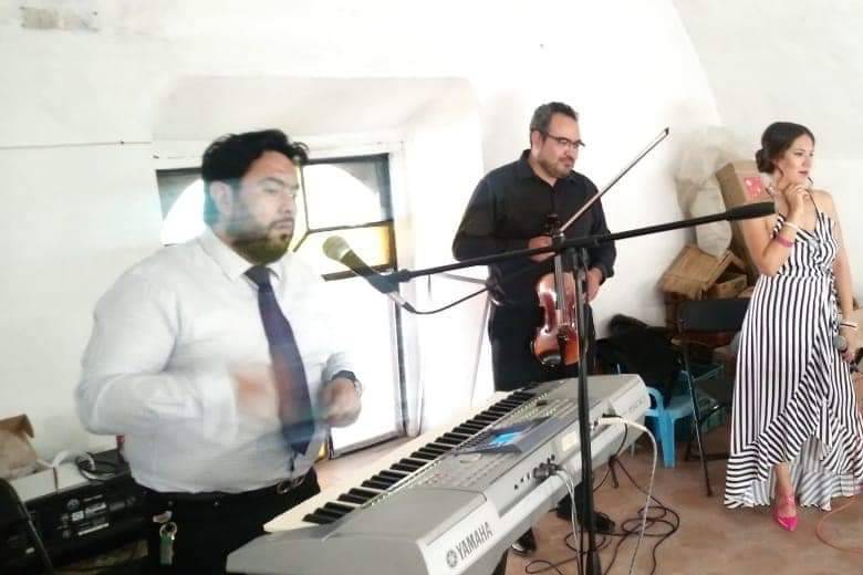 Zimmat