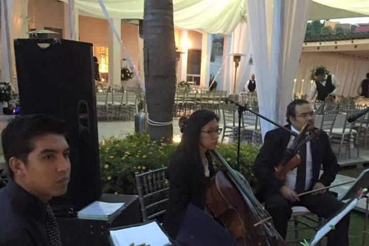 Trío para ceremonia