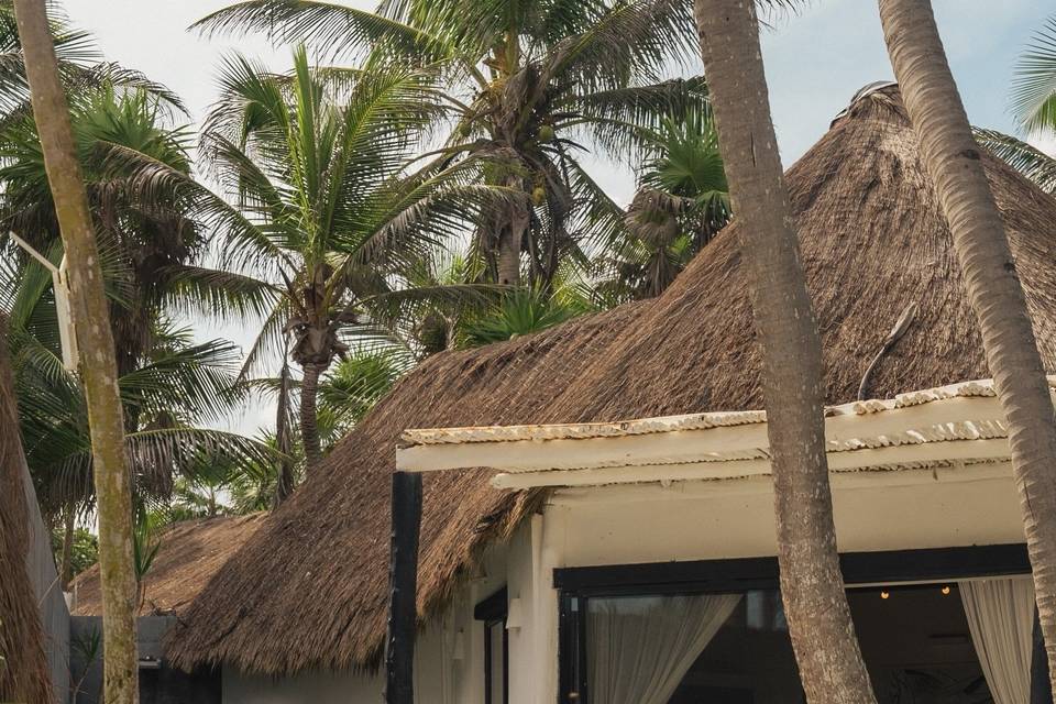 Gitano Jungle & Beach