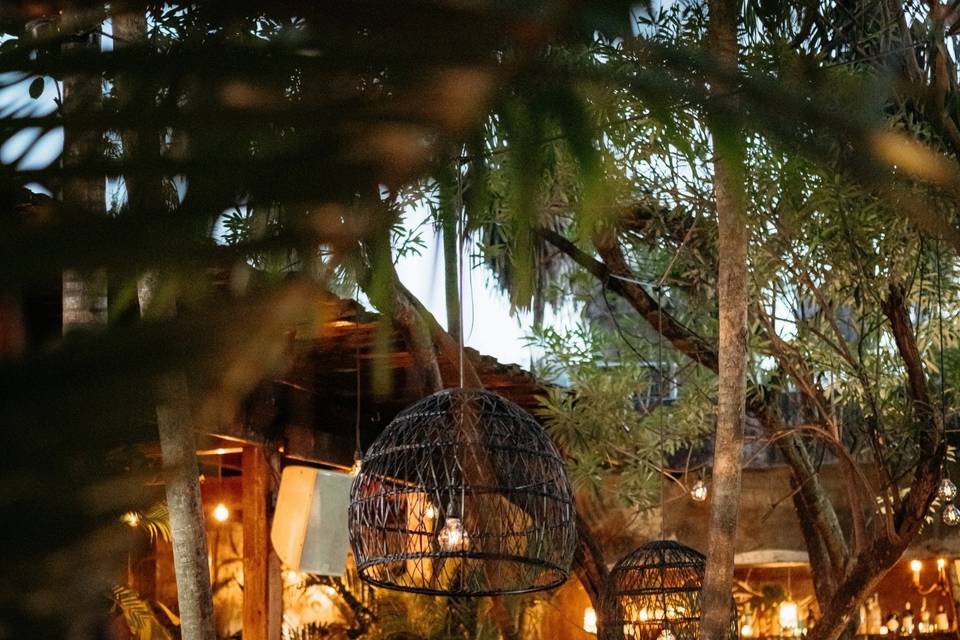 Gitano Jungle & Beach