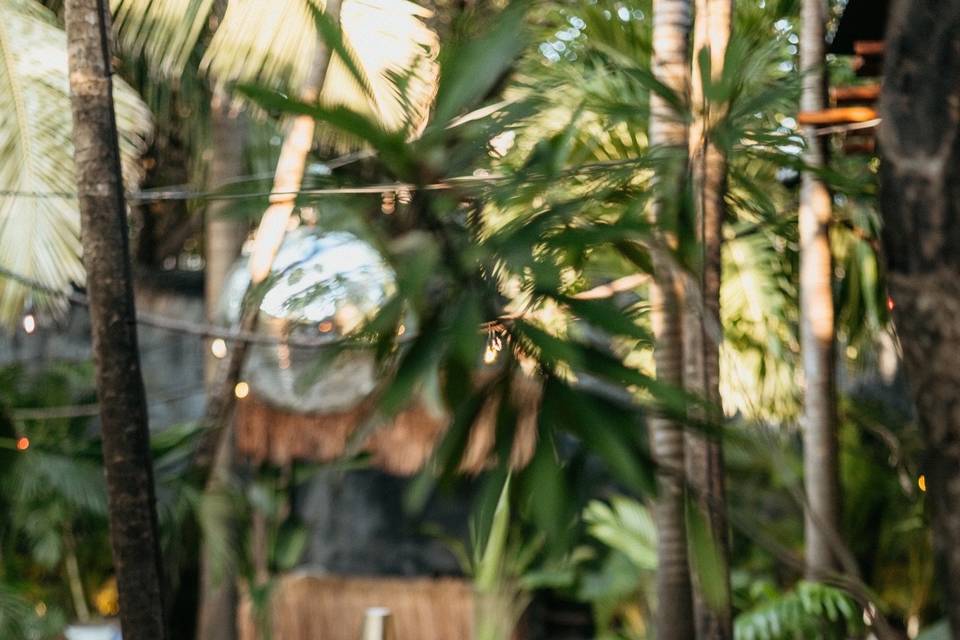 Gitano Jungle & Beach