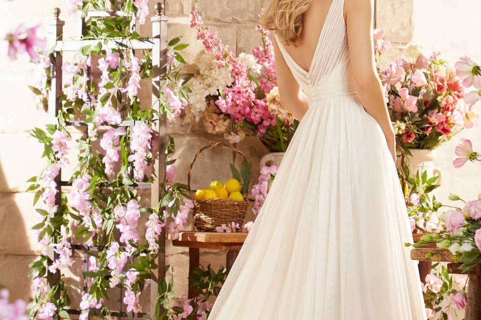 Noviella Bridal Couture