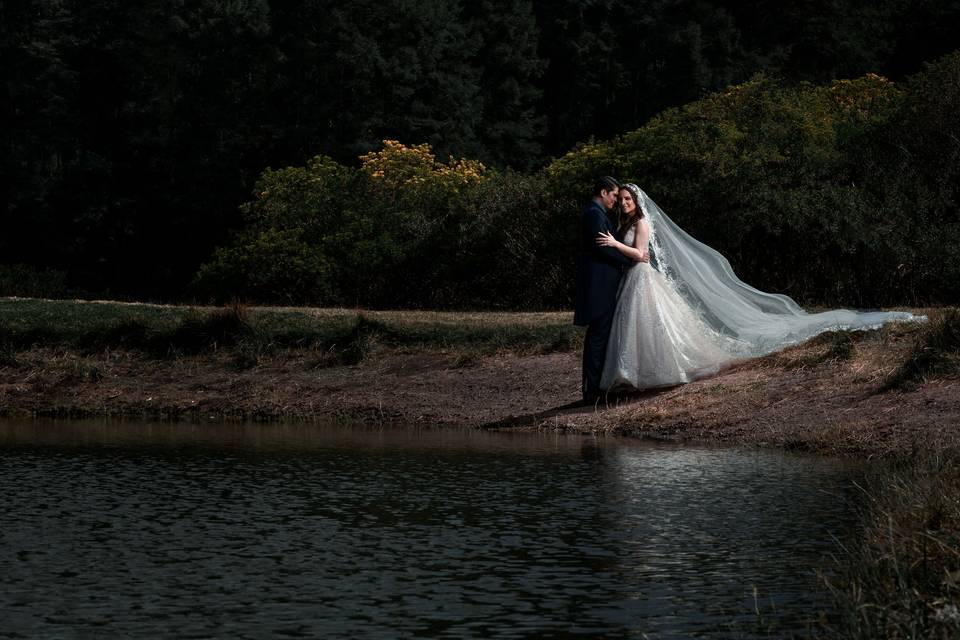 Trash the dress