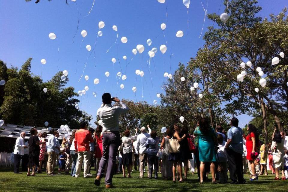 Globos